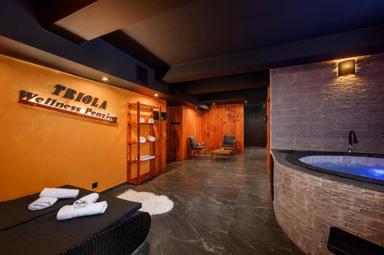 Wellness Penzion Triola โกเชนอฟ ภายนอก รูปภาพ